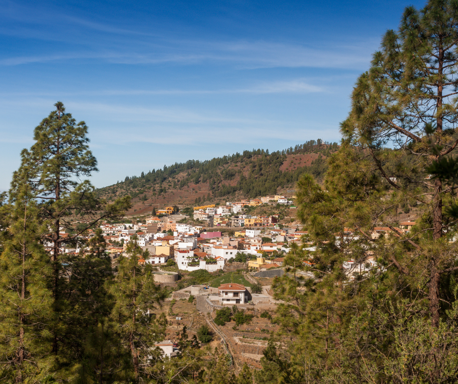 Teide con visita a bodega - Photo 7