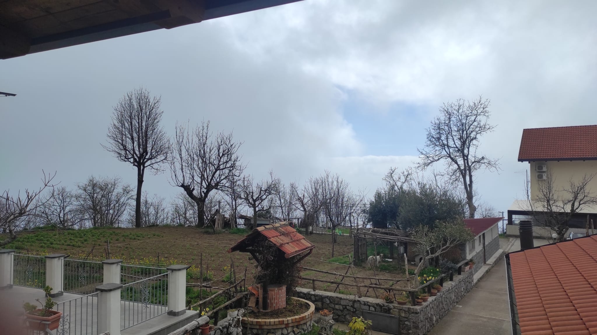 Amalfi Coast Cooking Class: Make Pasta, Mozzarella & Tiramisu with Wine   - Photo 19