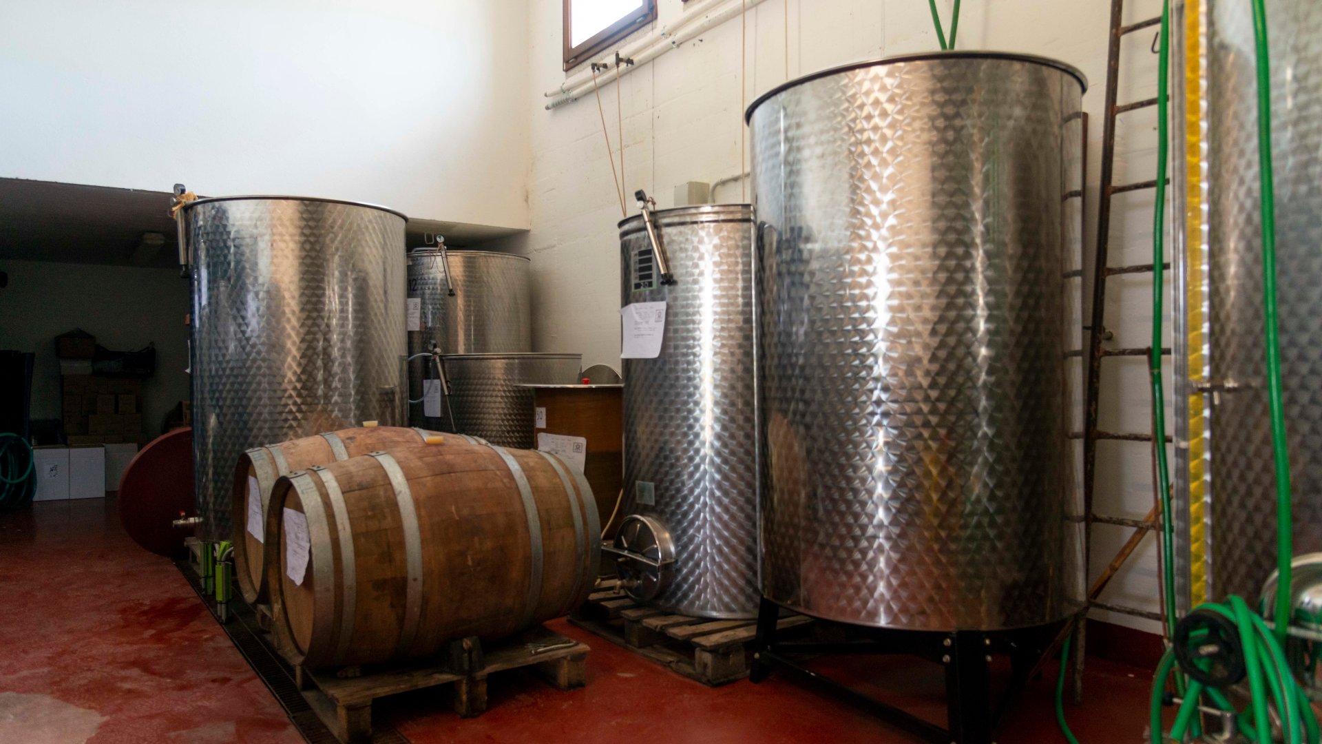 Dorgali: visit of a winery with tasting - Photo 29