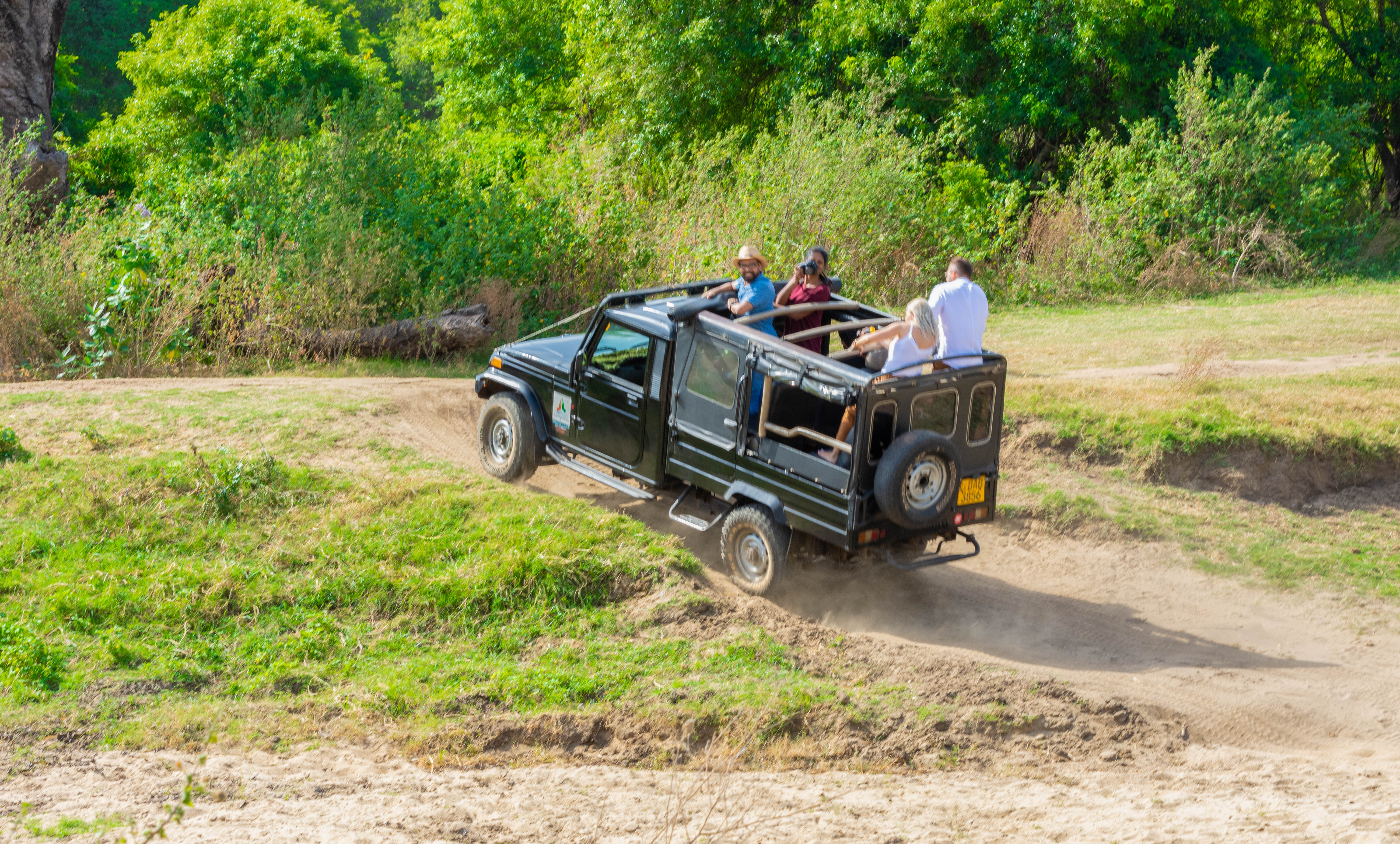Minneriya National Park Private Safari with Naturalist