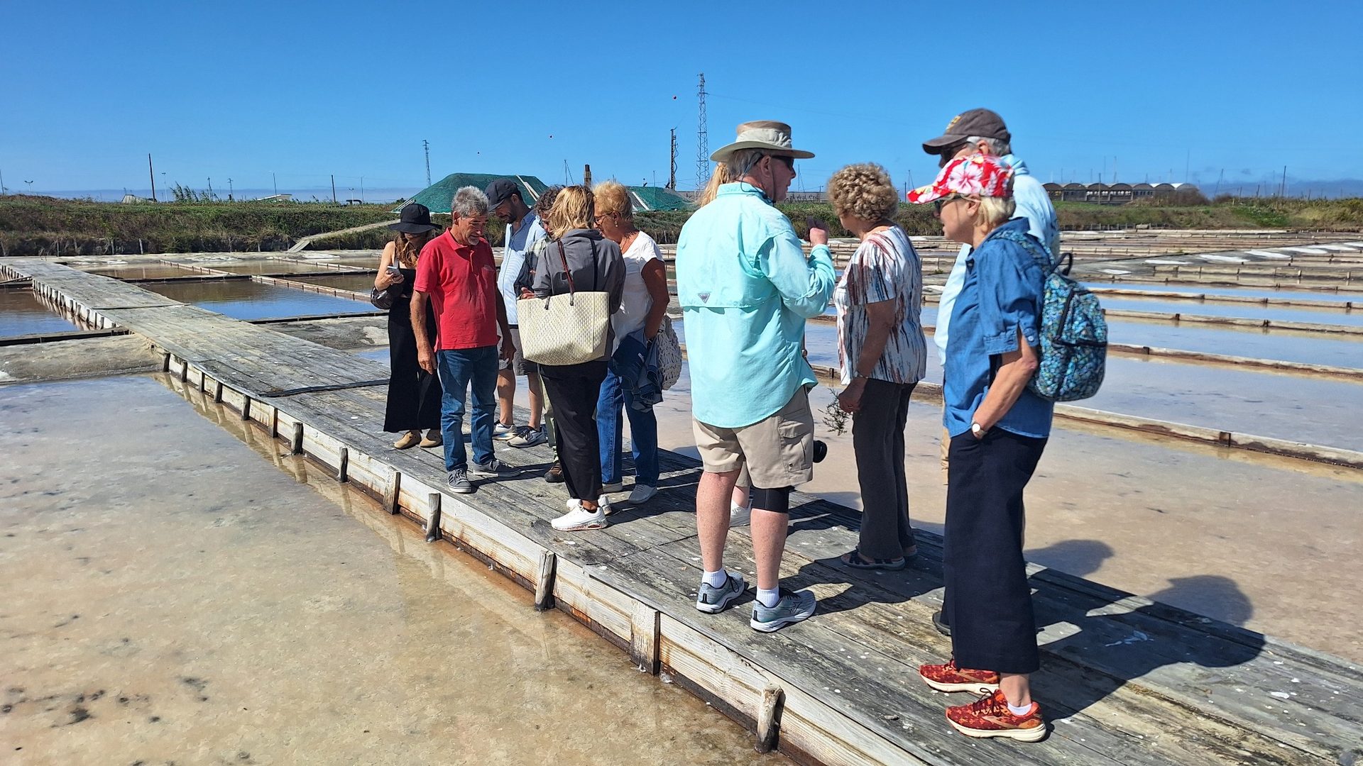 Aveiro & Bairrada Private Day Tour with Salt Pans and Sparkling Wine - Photo 8