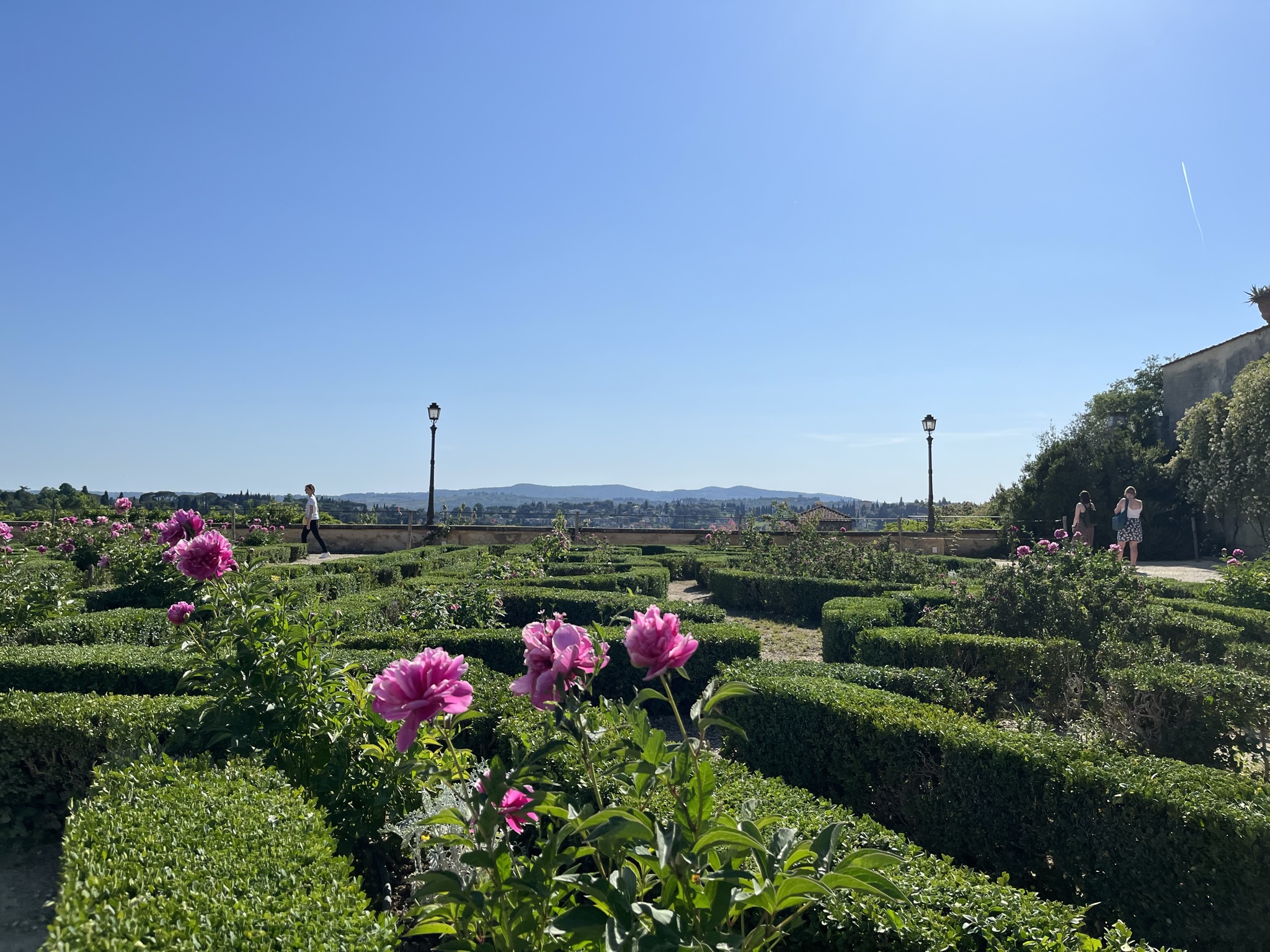 Pitti Palace & Boboli  Gardens tour with a local Guide - Photo 39