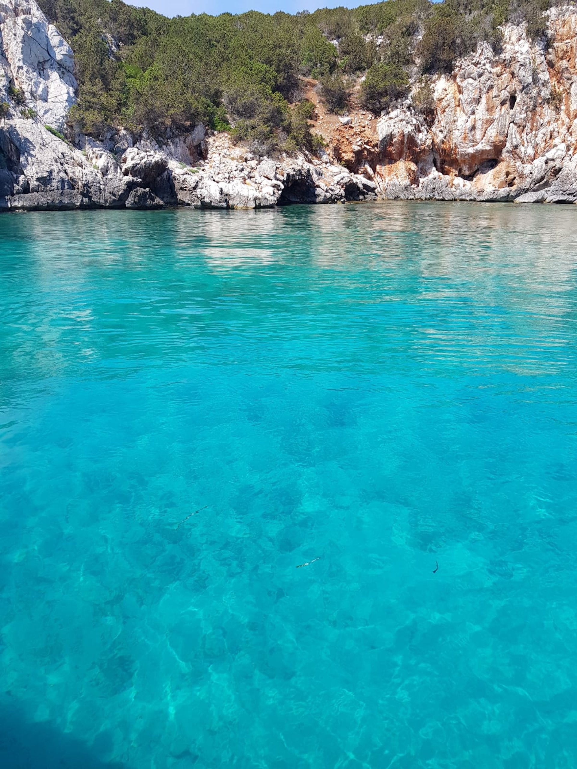 From Fertilia: private boat tour in the Gulf of Alghero - Photo 6