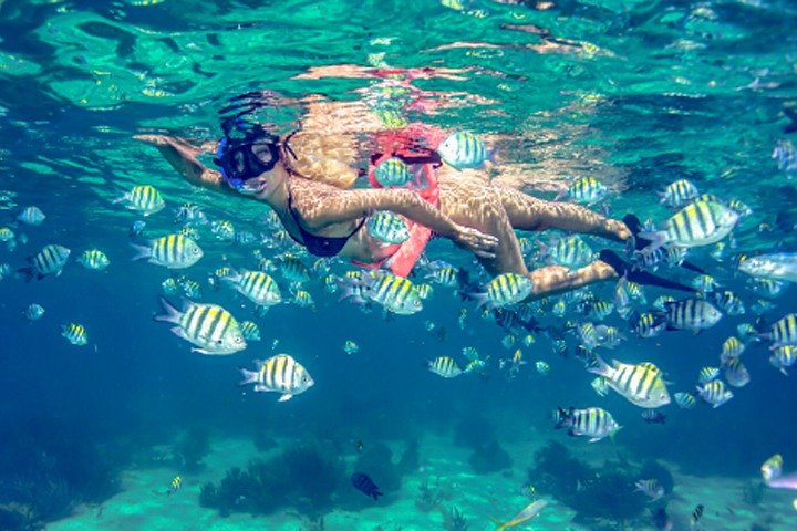 Experiencia de Navegación en Isla Mujeres con Recogida y Hasta un 30% de Descuento por Compra Anticipada - Alojamientos en Cancún