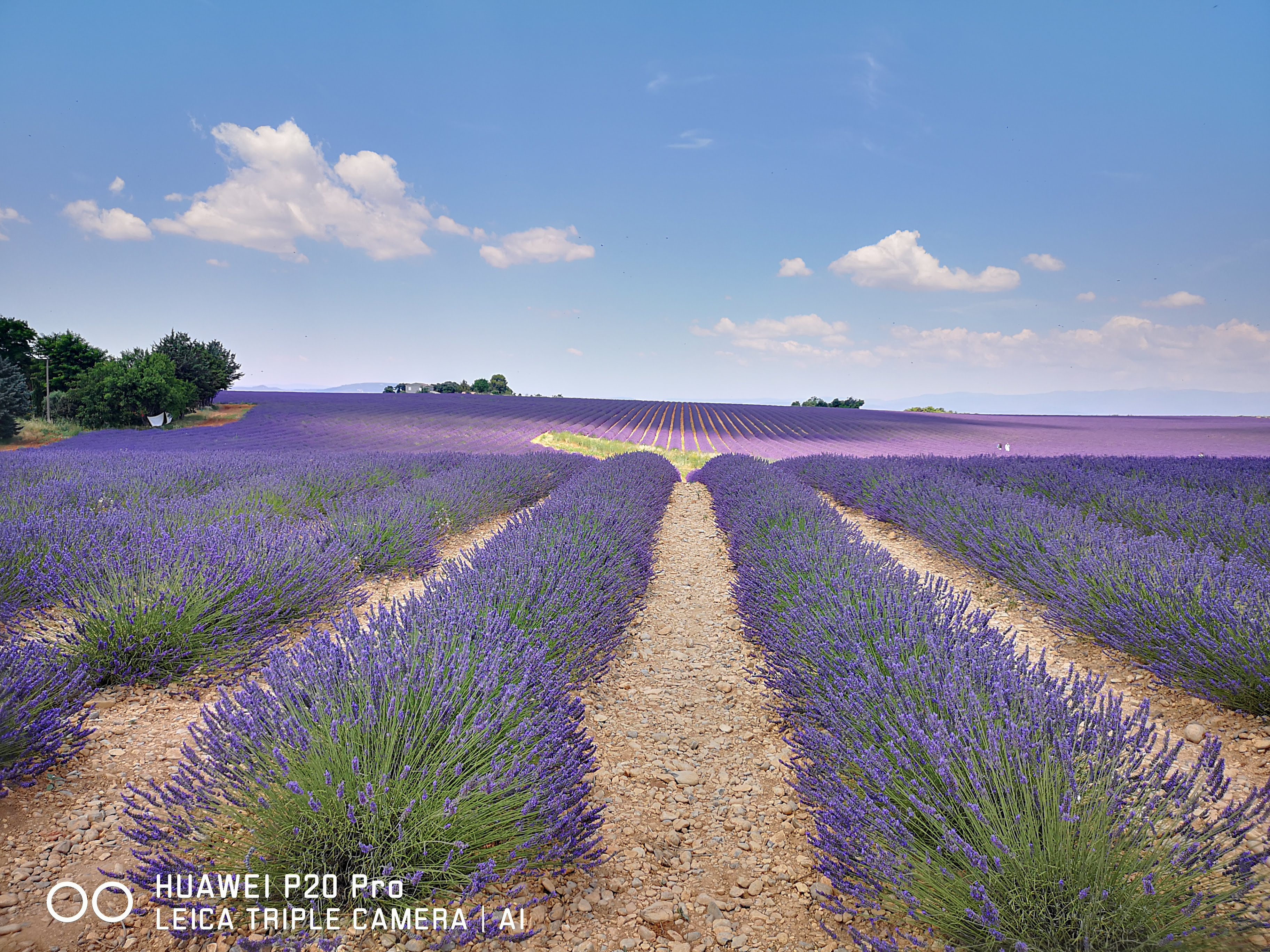 Marseille Shore Excursion: Private Day Trip to Manosque, Valensole, Moustiers Ste Marie and Lake Ste Croix - Photo 22
