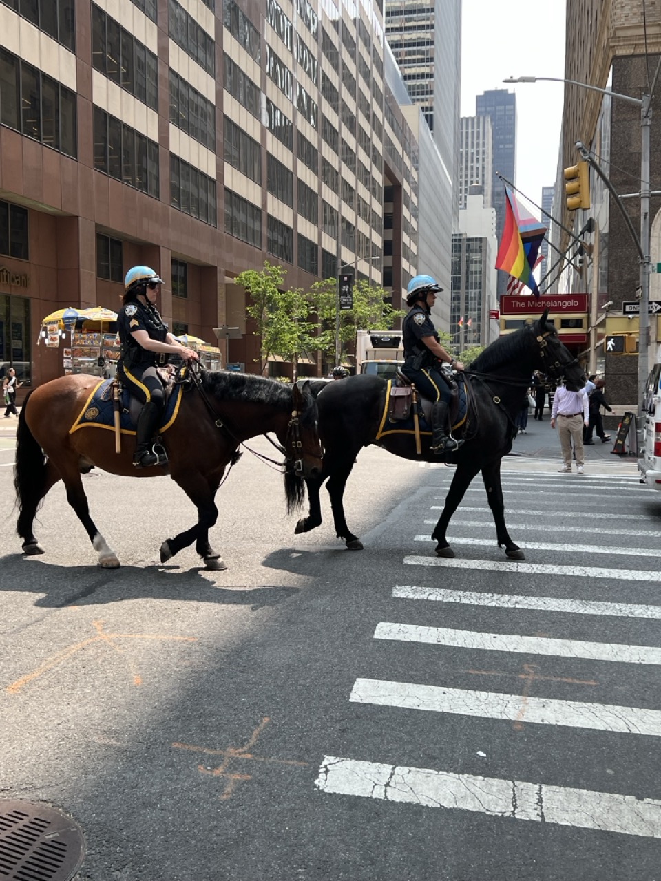 New York: Manhattan Highlights - Central Park & Rich areas