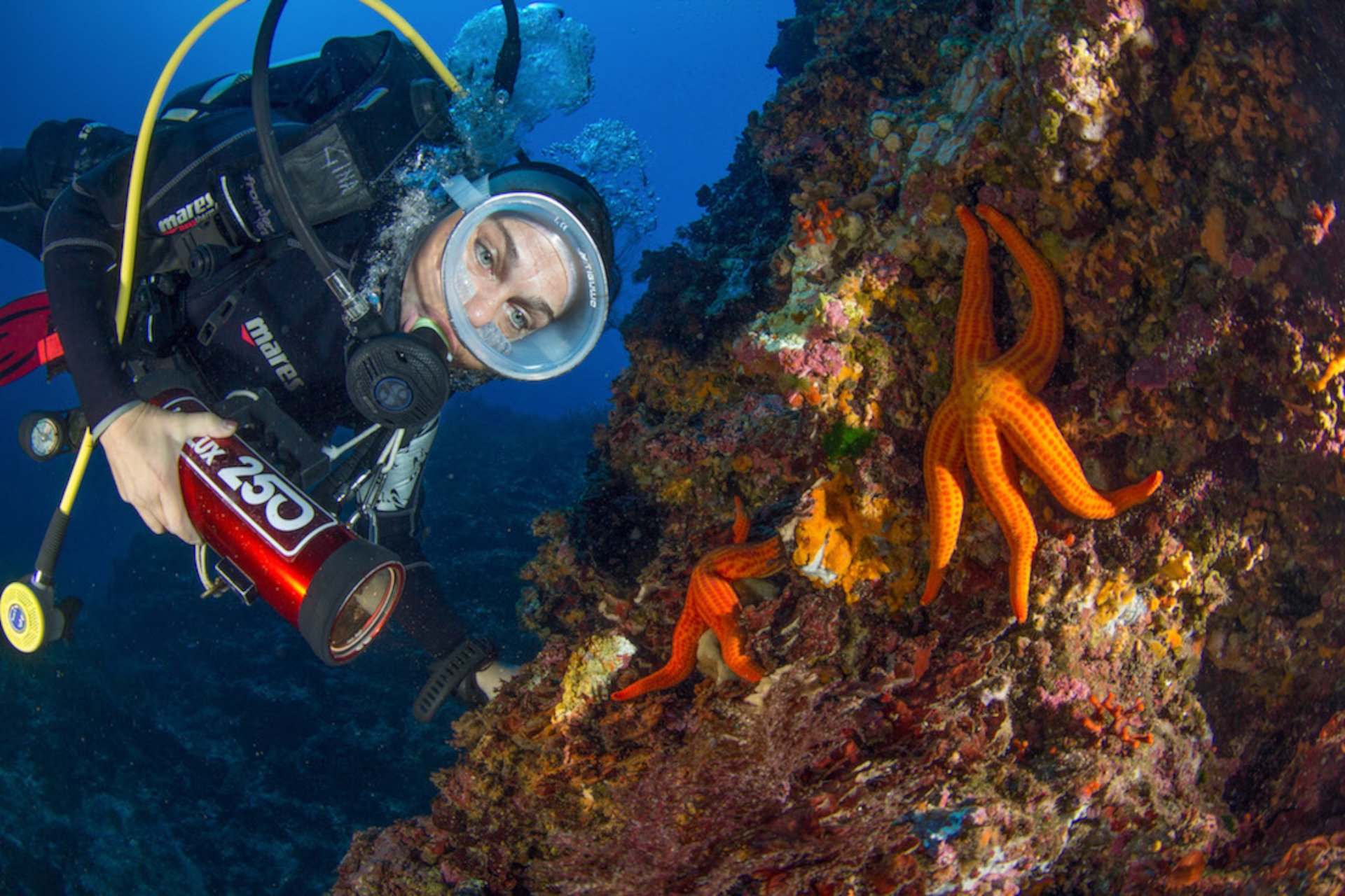 Bosa: diving baptism - Photo 18