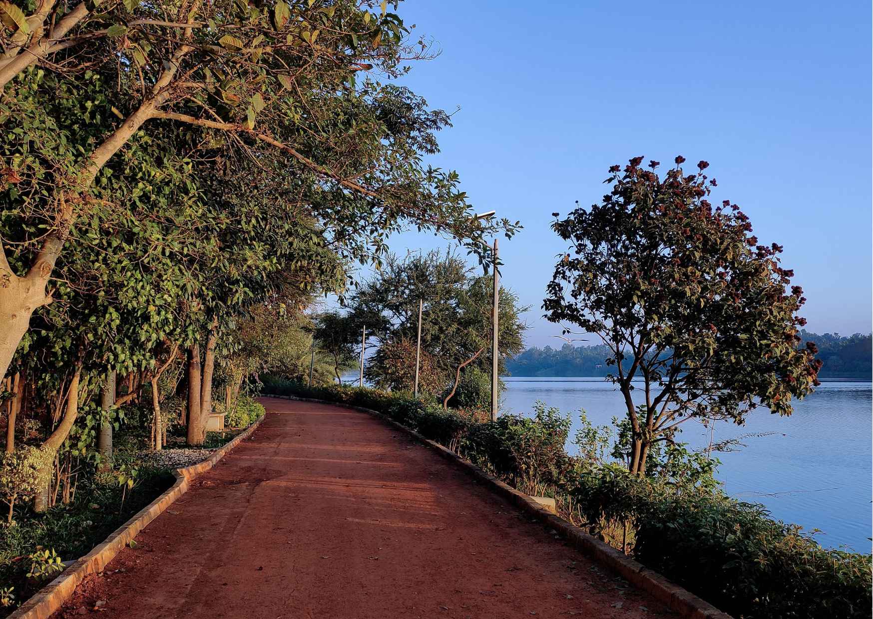 Free Walking Tour Bengaluru - Photo 7