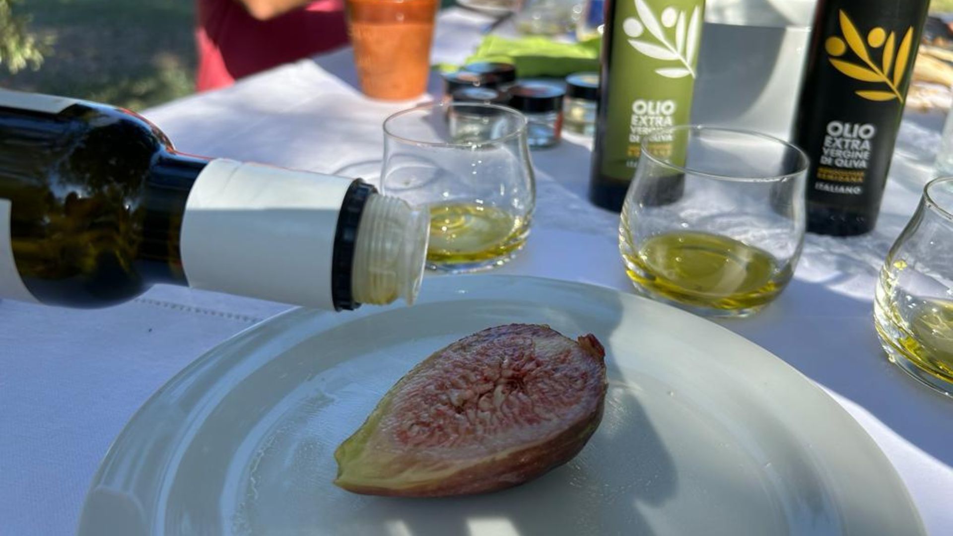 Walk among the olive trees and guided tasting in Oristano - Photo 11