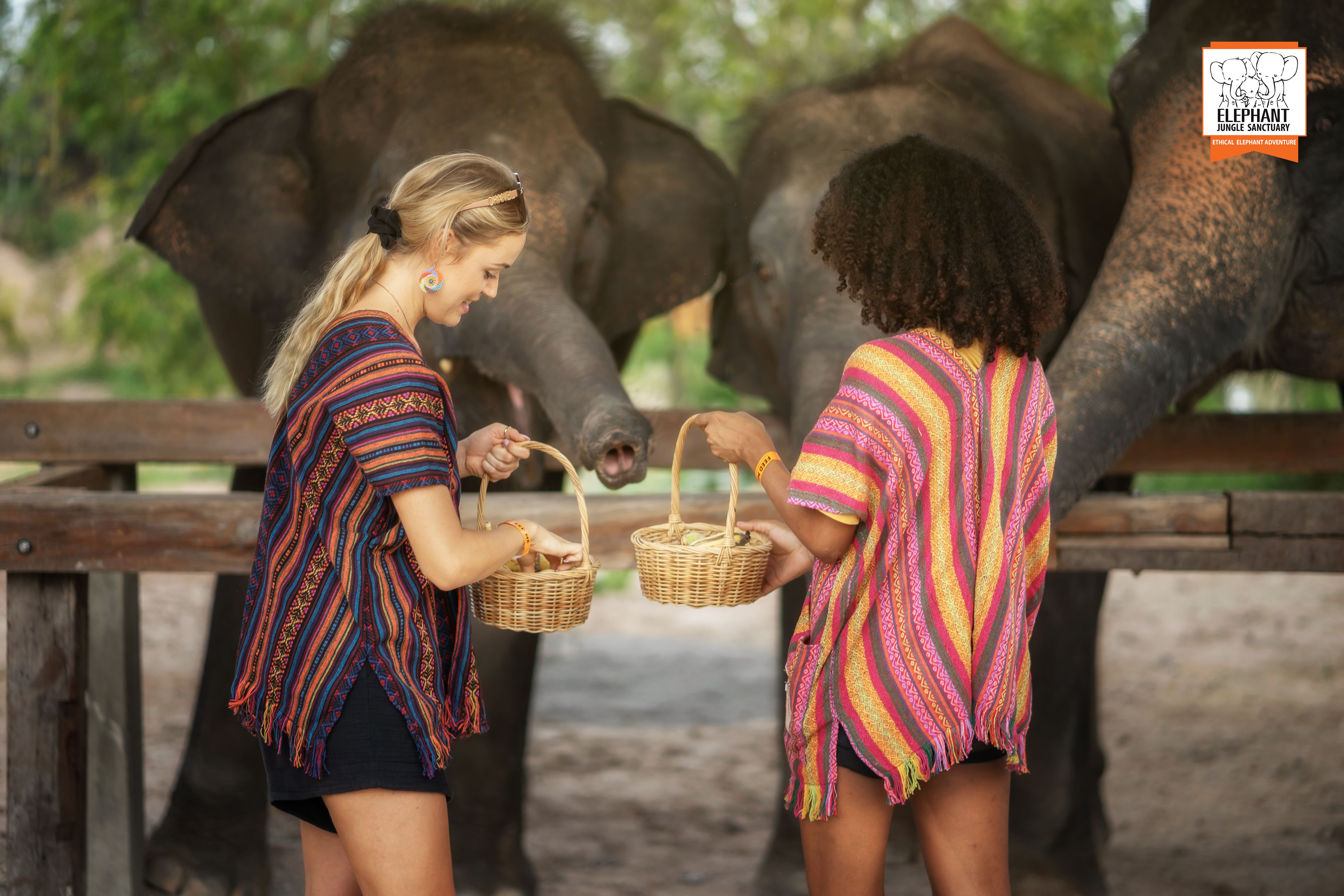 Chiang Mai: Feed Me Experience