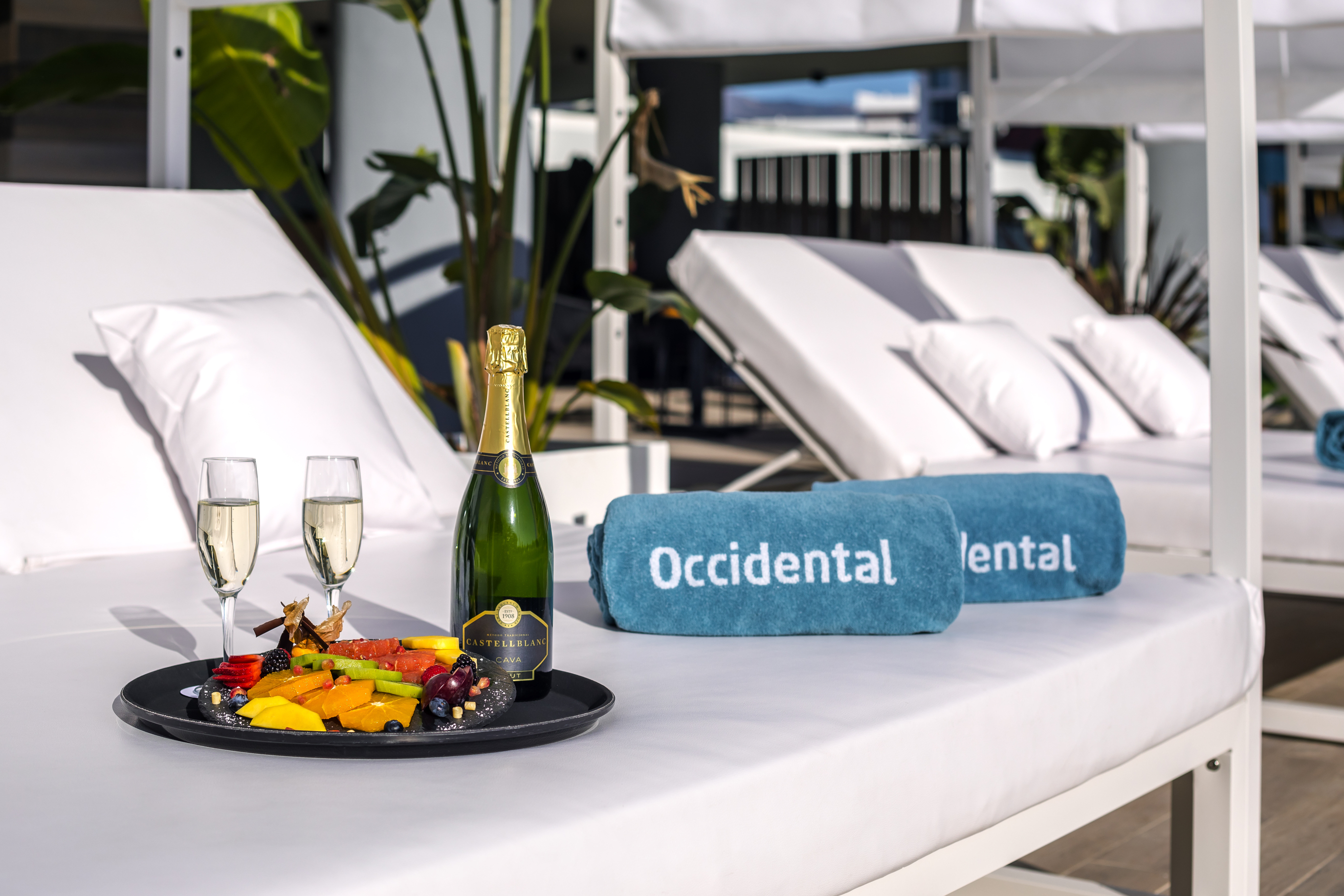 Bali Bed Experience