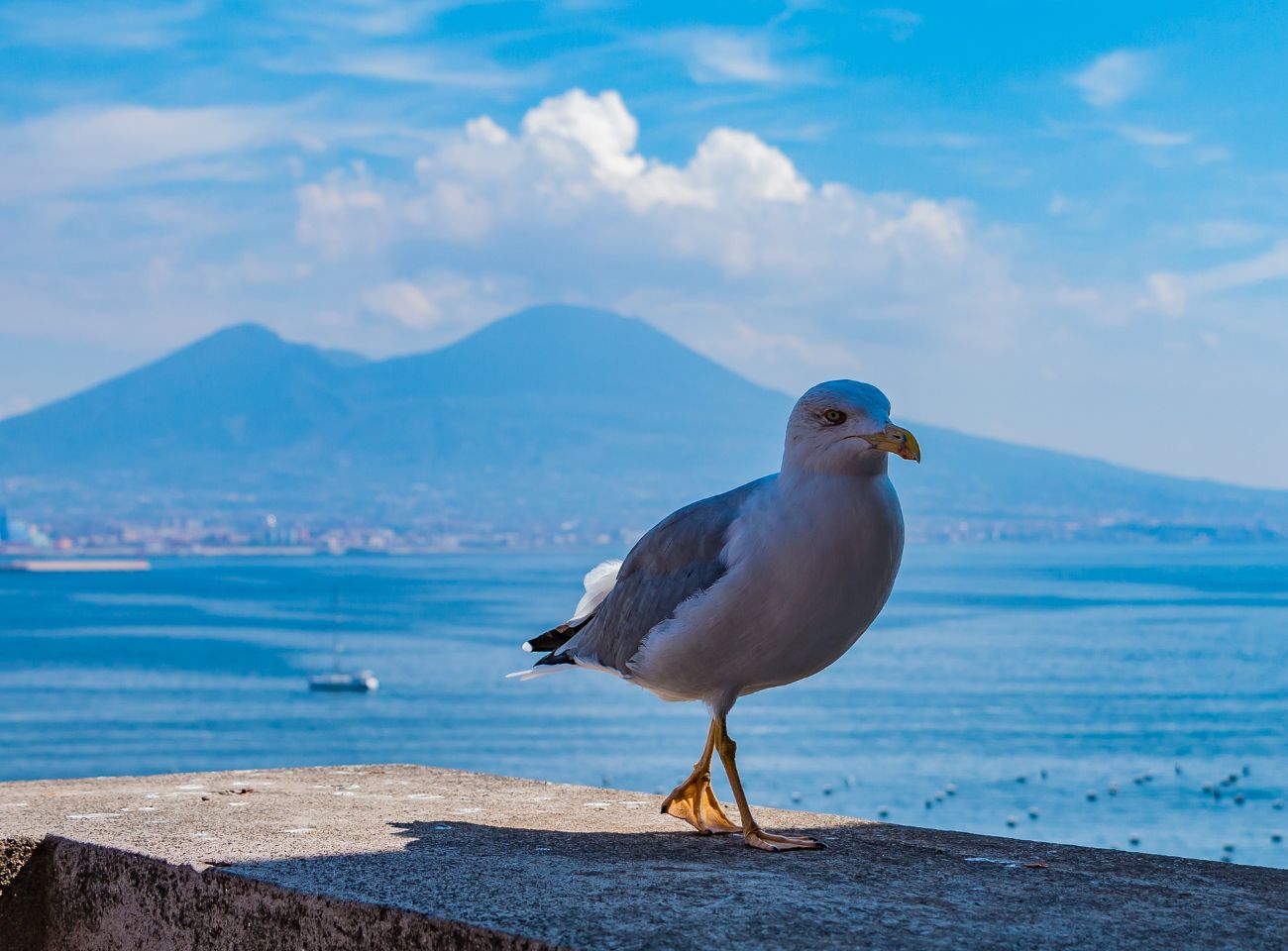 PANORAMIC TOUR OF NAPLES’ NEIGHBORHOODS - Photo 5