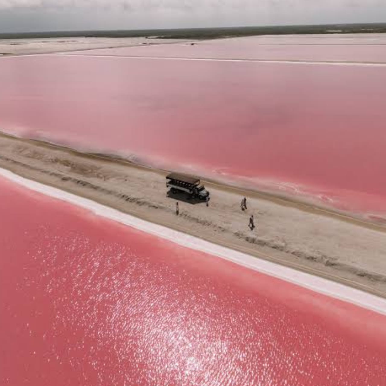 Excursion a las Coloradas y Río Lagartos — 7/17