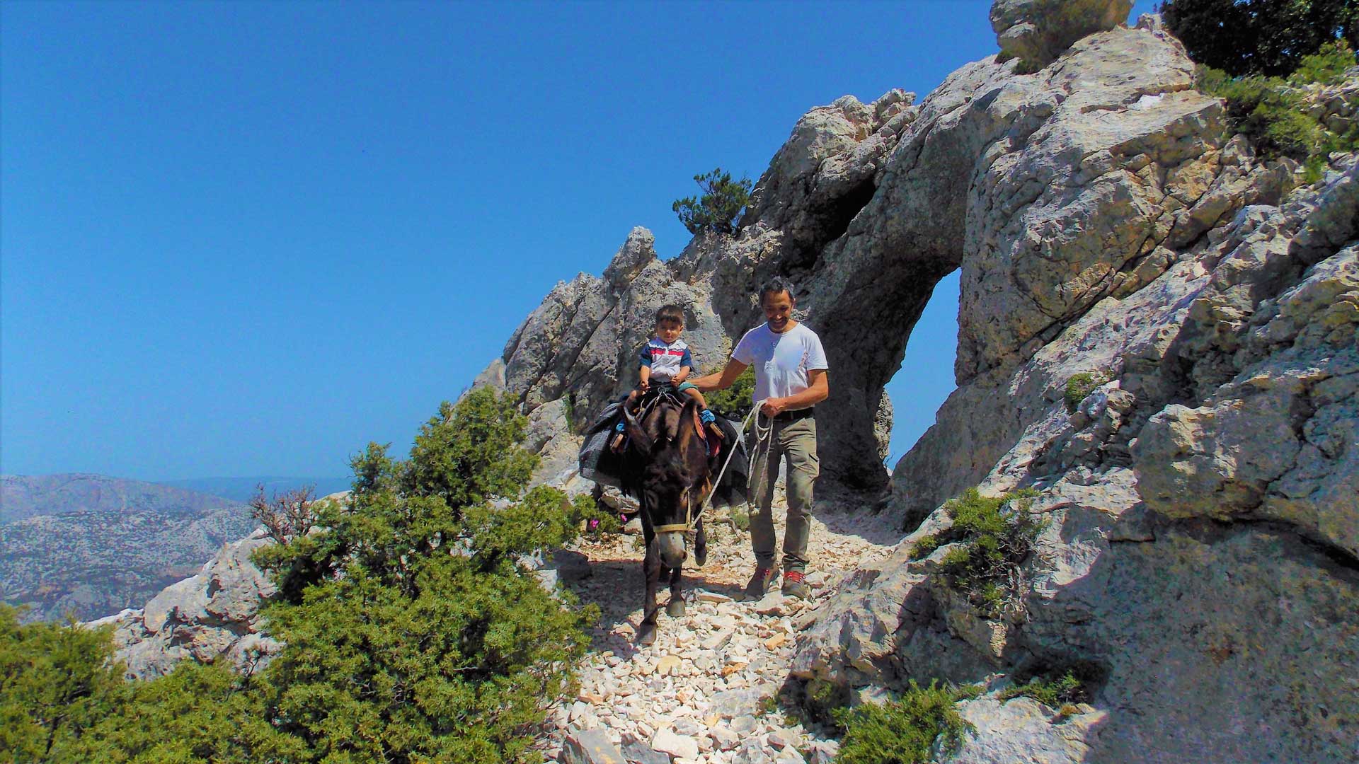 From Dorgali: walk with donkeys - Photo 3