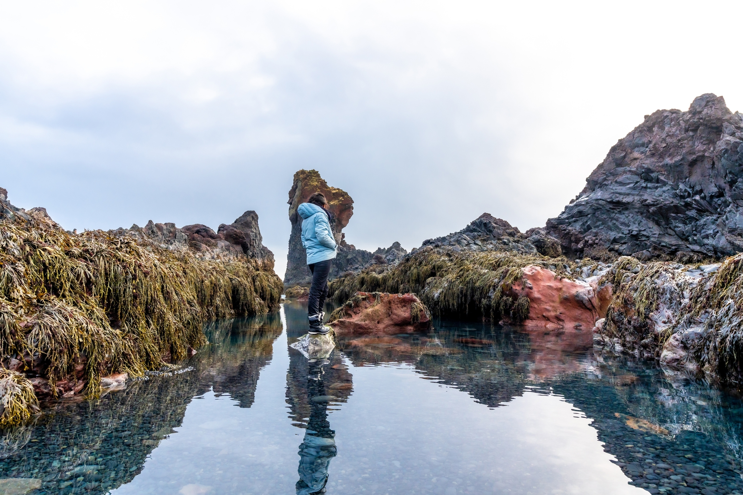 Snaefellsnes Private Tour At Iceland’s West Coast of Wonders - photo 30
