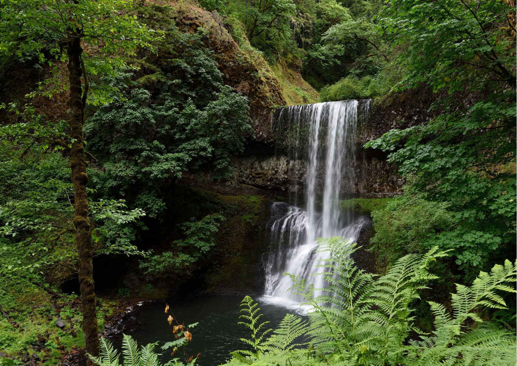 Day Trip to Yuksom (Guided Private Sightseeing Tour from Pelling) - Photo 8