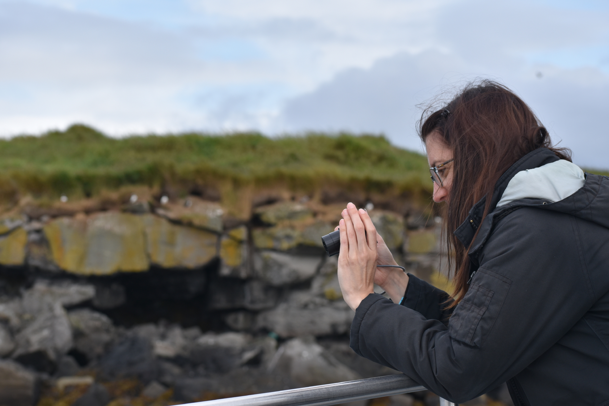 Reykjavík Classic Puffin Watching