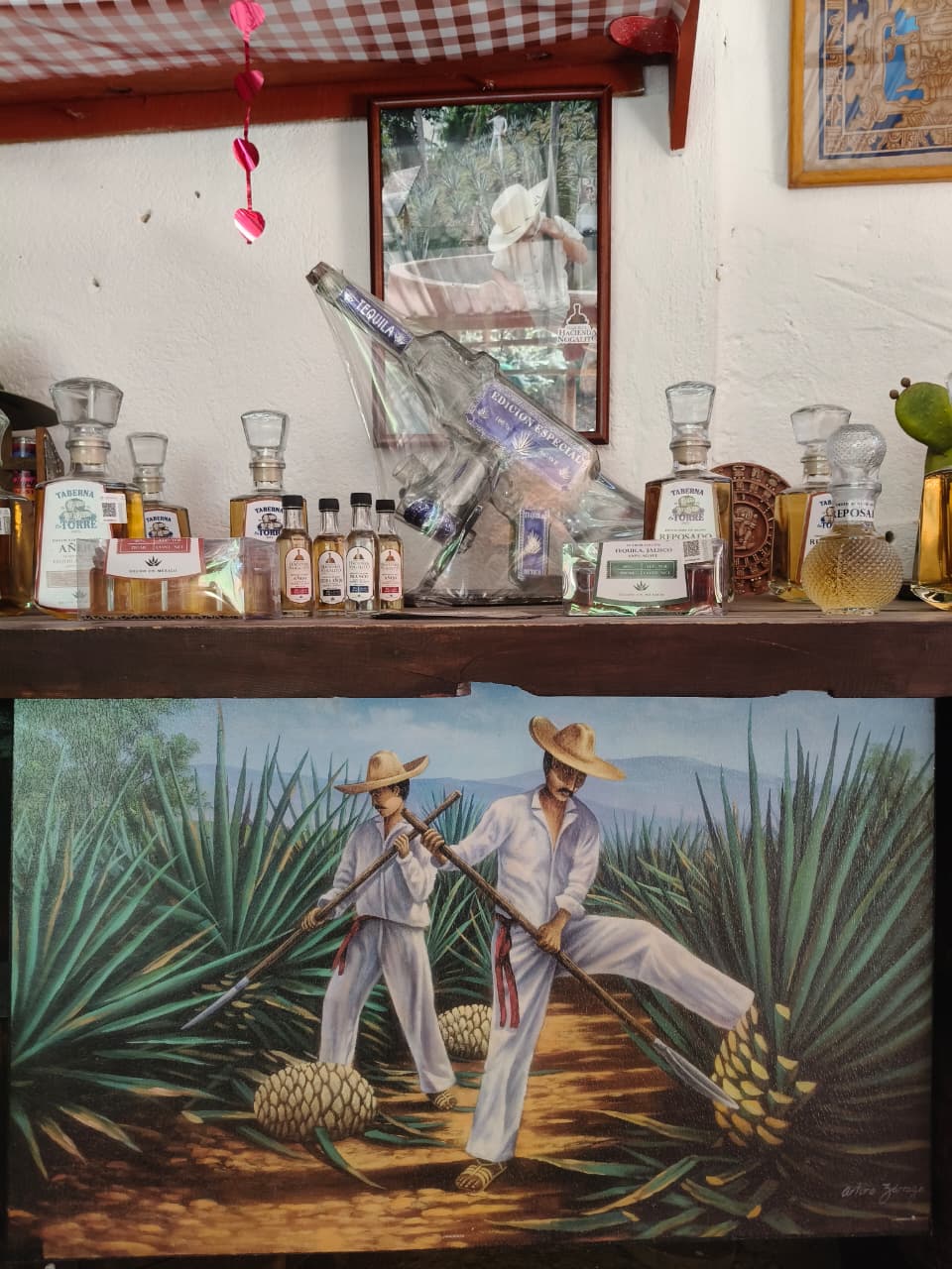 Desde Puerto Vallarta Tour Playa, Tequila y Rio — 10/18