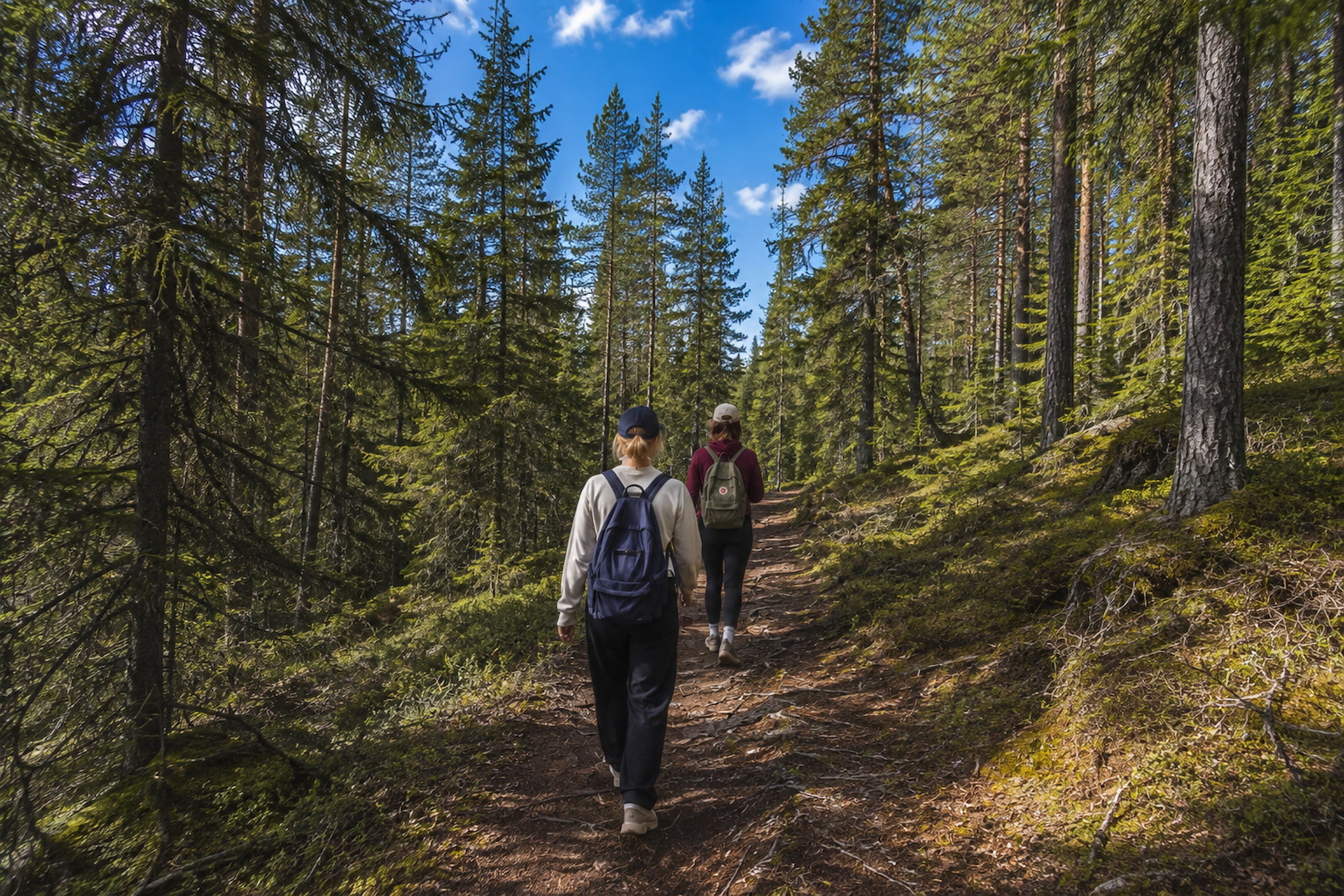 Rovaniemi: Korouoma Canyon Hike Tour & Barbeque – Small Group