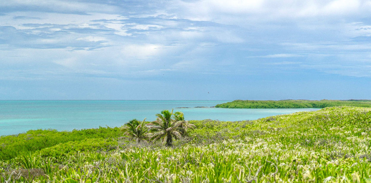 Hepsi Dahil Isla Contoy Lüks Özel Katamaran 51¨Leopard