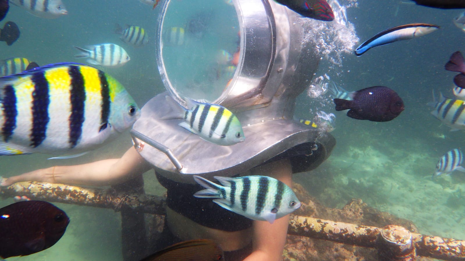 Half Day Guided Underwater Sea Walk Experience in Nusa Dua – photo 5