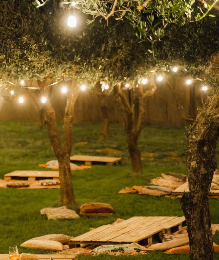Vinci: Leonardo's Origins & Aperitif in Vineyards from Montecatini - Small Group - - Photo 15