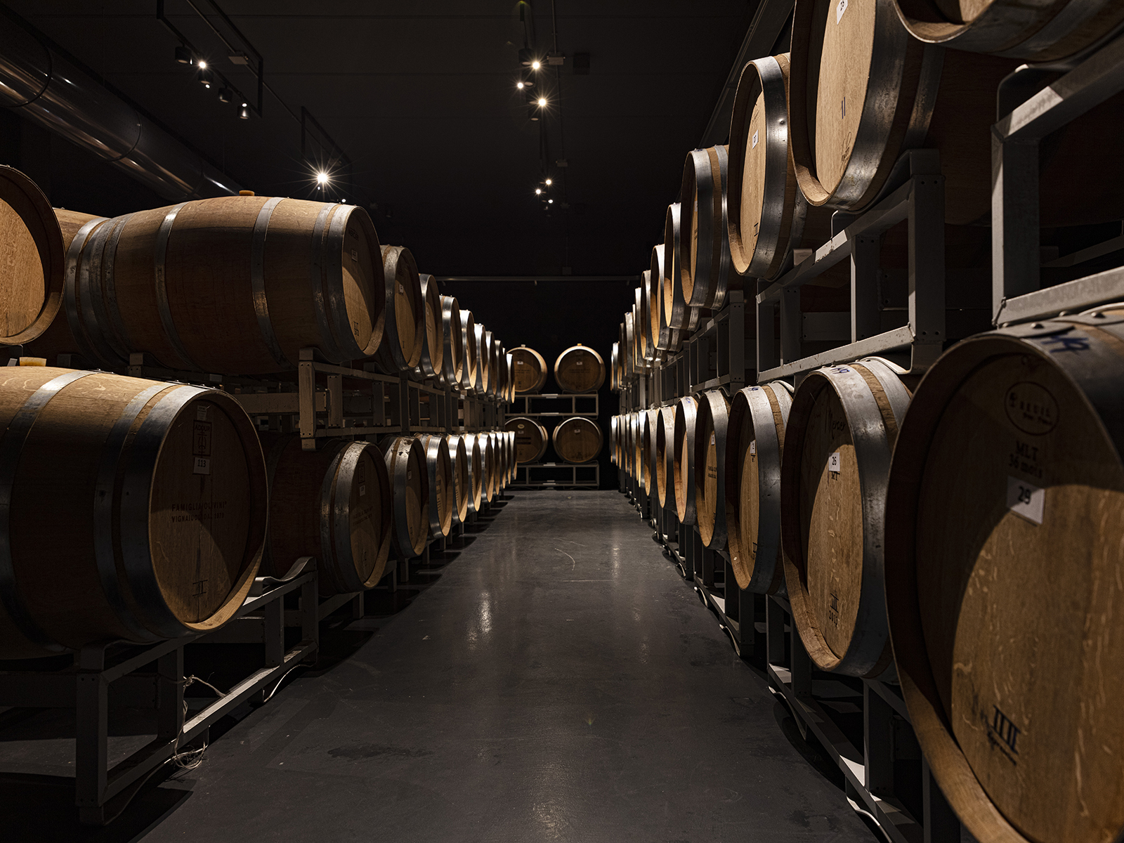 Tasting of Lugana wines with vineyard and cellar tour near Desenzano - Photo 6