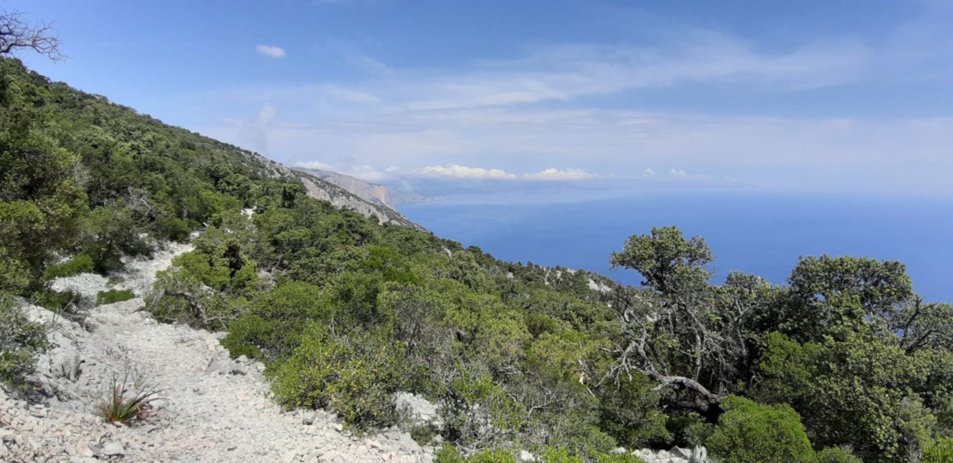 From Baunei: trekking to Cala Mariolu - Photo 19