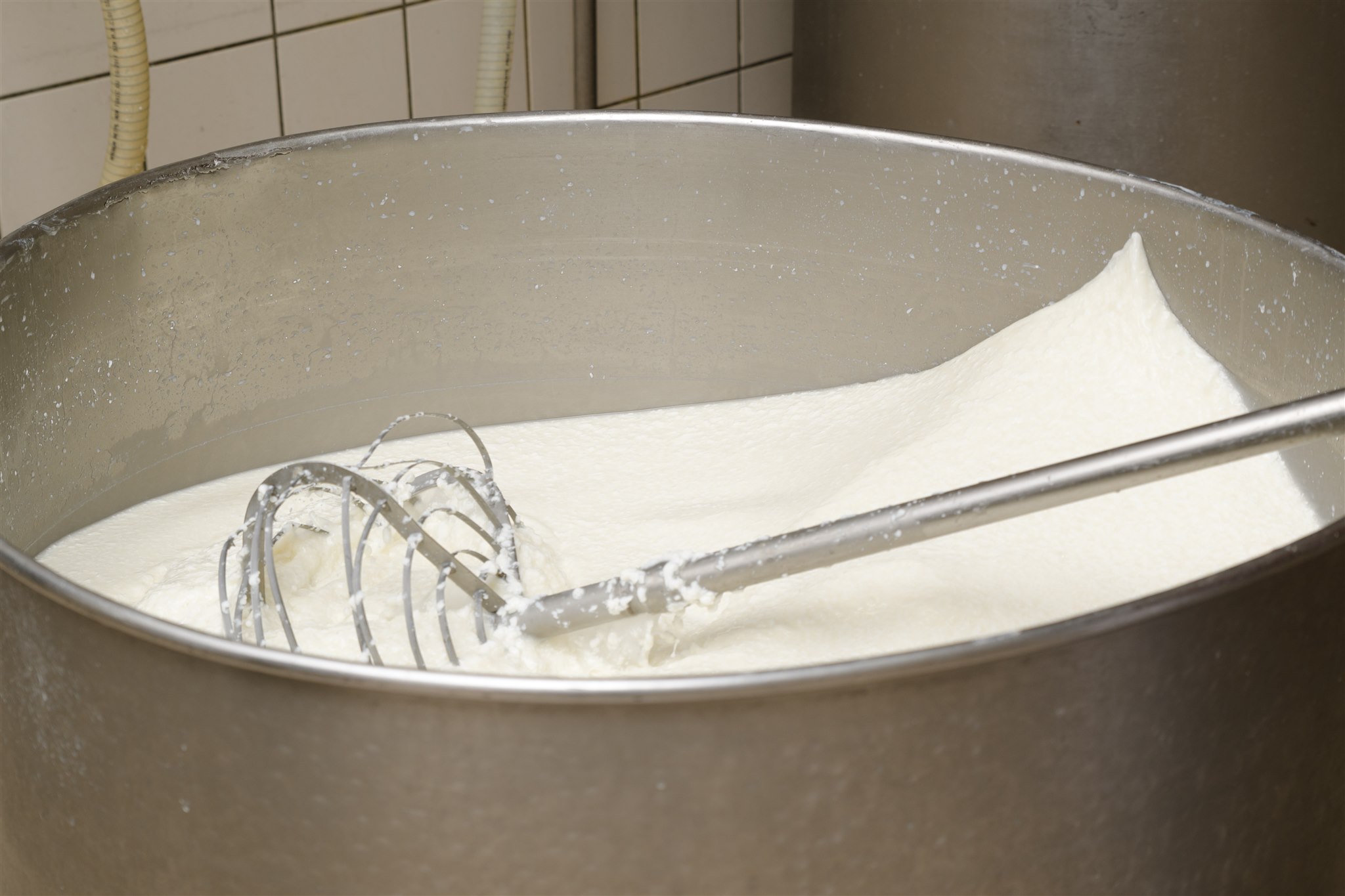 Sorrento: mozzarella cheese workshop at a dairy in Vico Equense - Photo 7