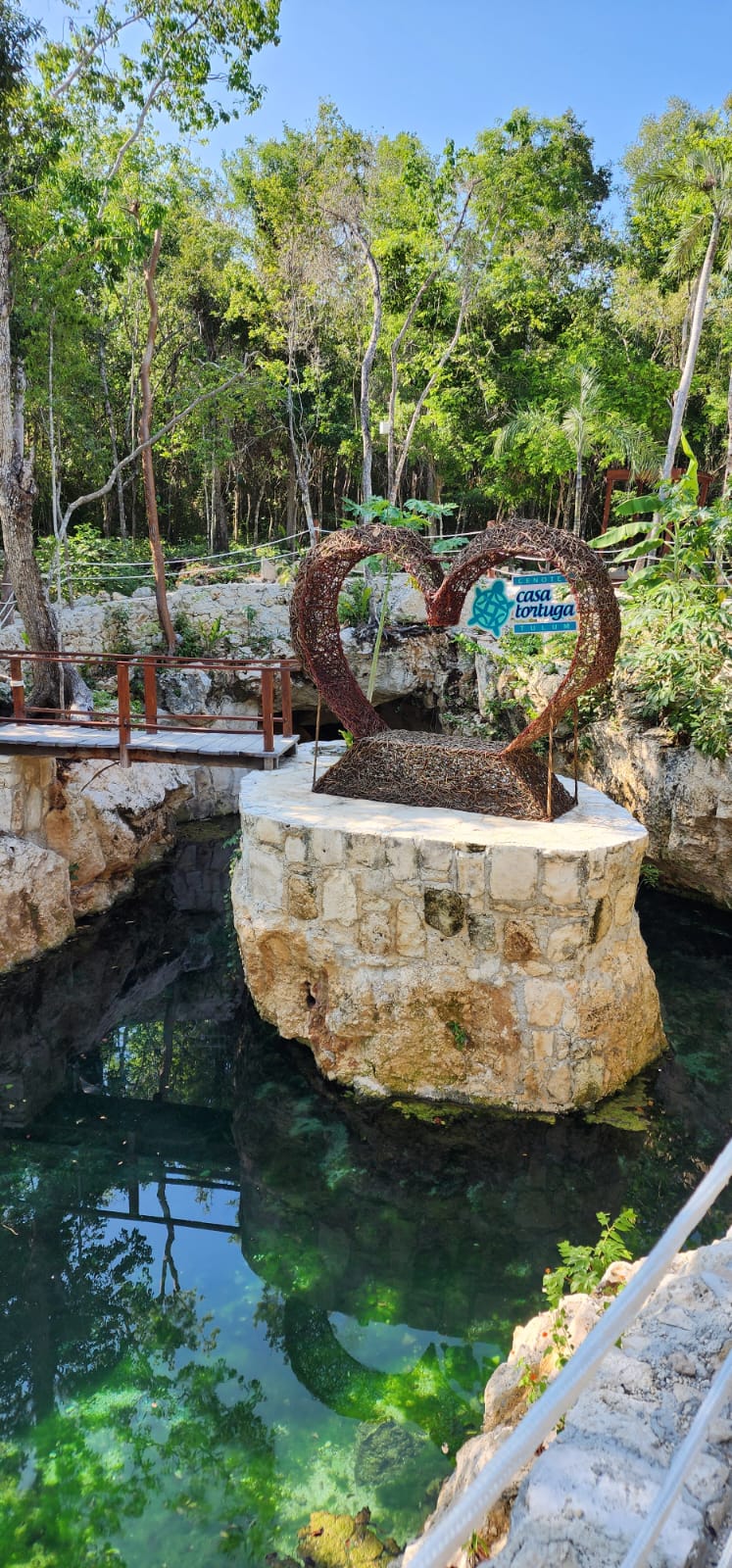 Casa Tortuga Silver – Experiencia en Cenotes — 12/13