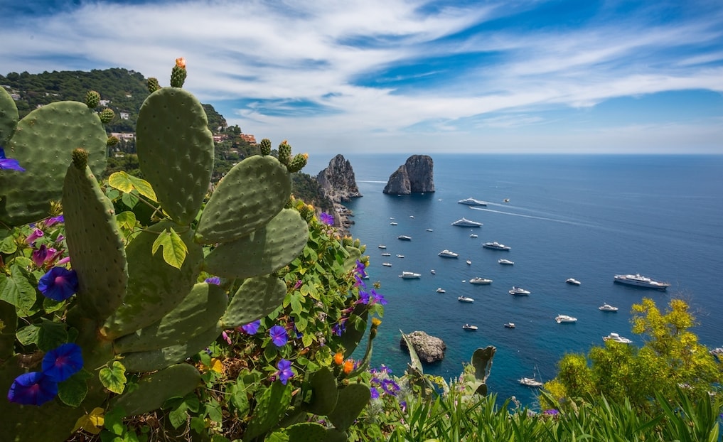 CAPRI ISLAND TOUR BY BOAT: with stop for swimming - Photo 18