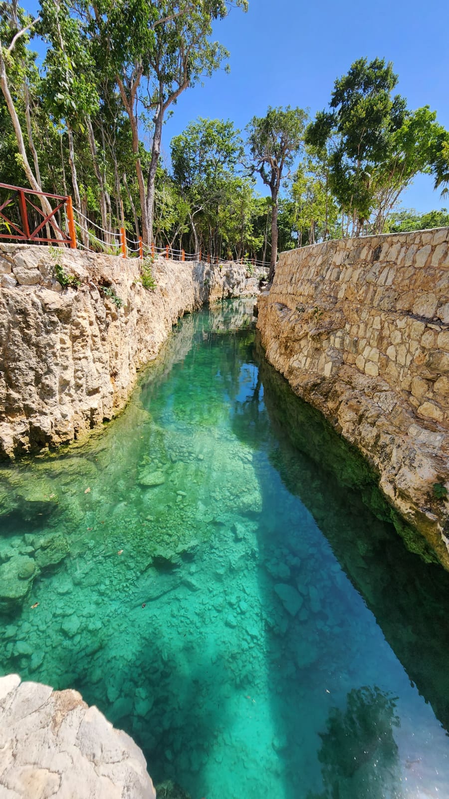 Casa Tortuga Silver – Experiencia en Cenotes — 11/13