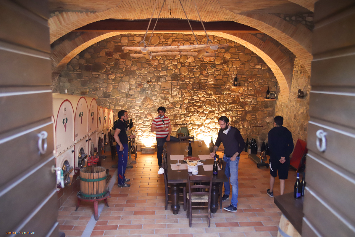 Vineyard Tour and Tasting of Lugana Wines - Photo 9