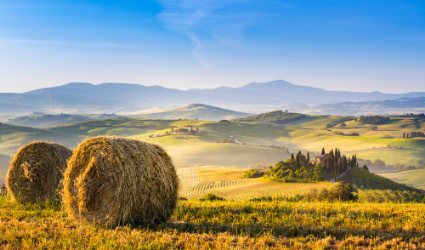 Brunello di Montalcino Wine tour from San Gimignano  - Photo 5
