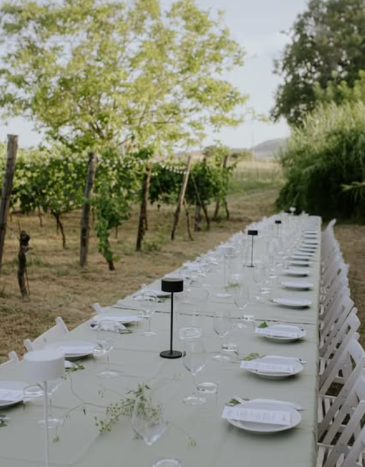 Marche Wines: Explore the Richness of Local Flavors - Photo 4