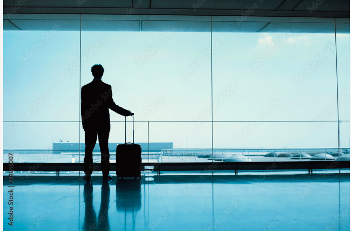 Private transfer from airport Charle de Gaulle to city of Paris  - 1-3  pax