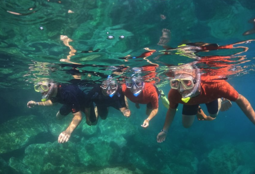 Snorkel Excursion in the South of Gran Canaria