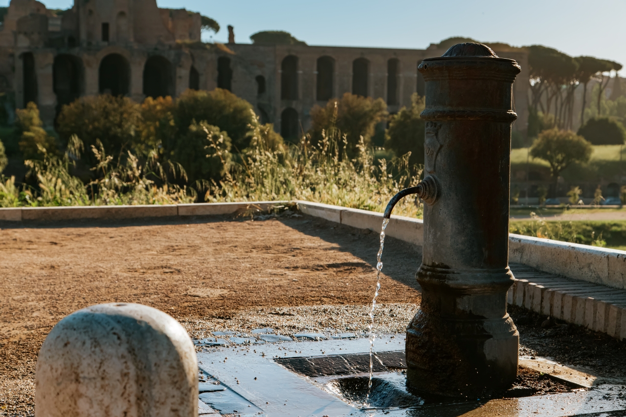 Rome: Discover Genuine Italian Food with a Guided Tour - Photo 8