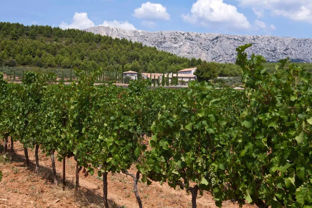 Wine Tasting Tours in Avignon : Châteauneuf du Pape, Gigondas, Séguret - Photo 3