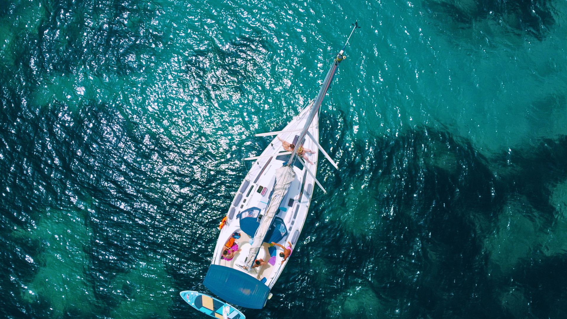 From Alghero: sailing tour in the Porto Conte Park - Photo 16