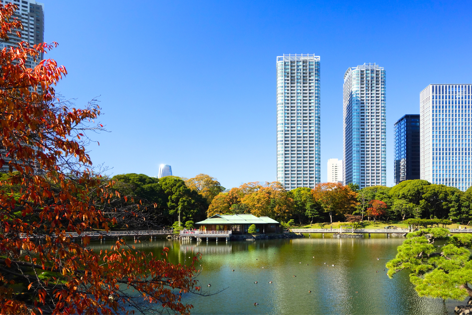 Asakusa Su Busesi, Sensoji, Sumida Nehri, Hama-Rikyu Bahçesi, Shibuya Kavşağı| Tokyo Klasik Turu
