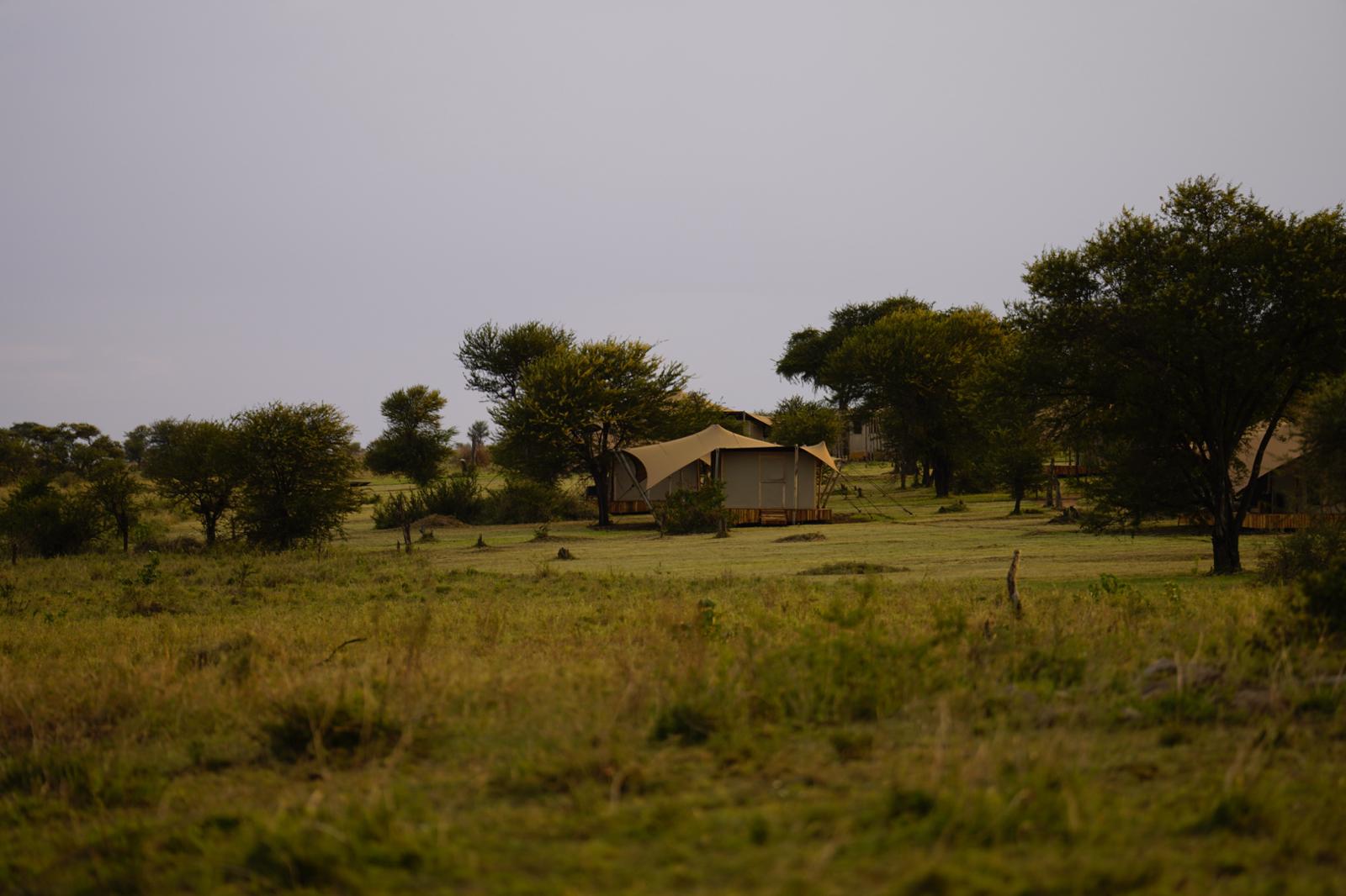 Anantya Serengeti - Tienda de campaña superior de lujo - Foto 5