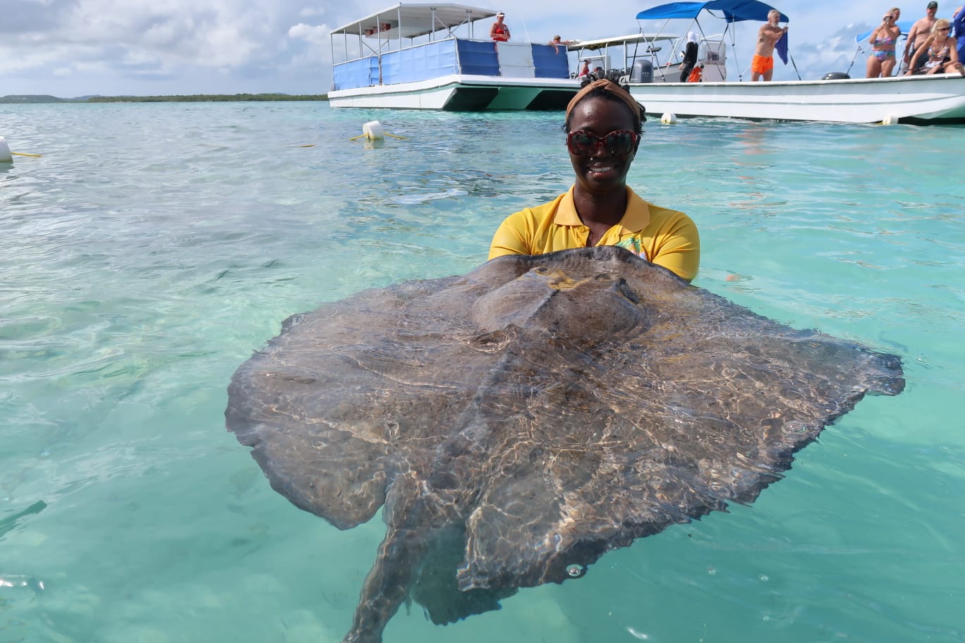 Stingray City Snorkel & Island Highlights 3