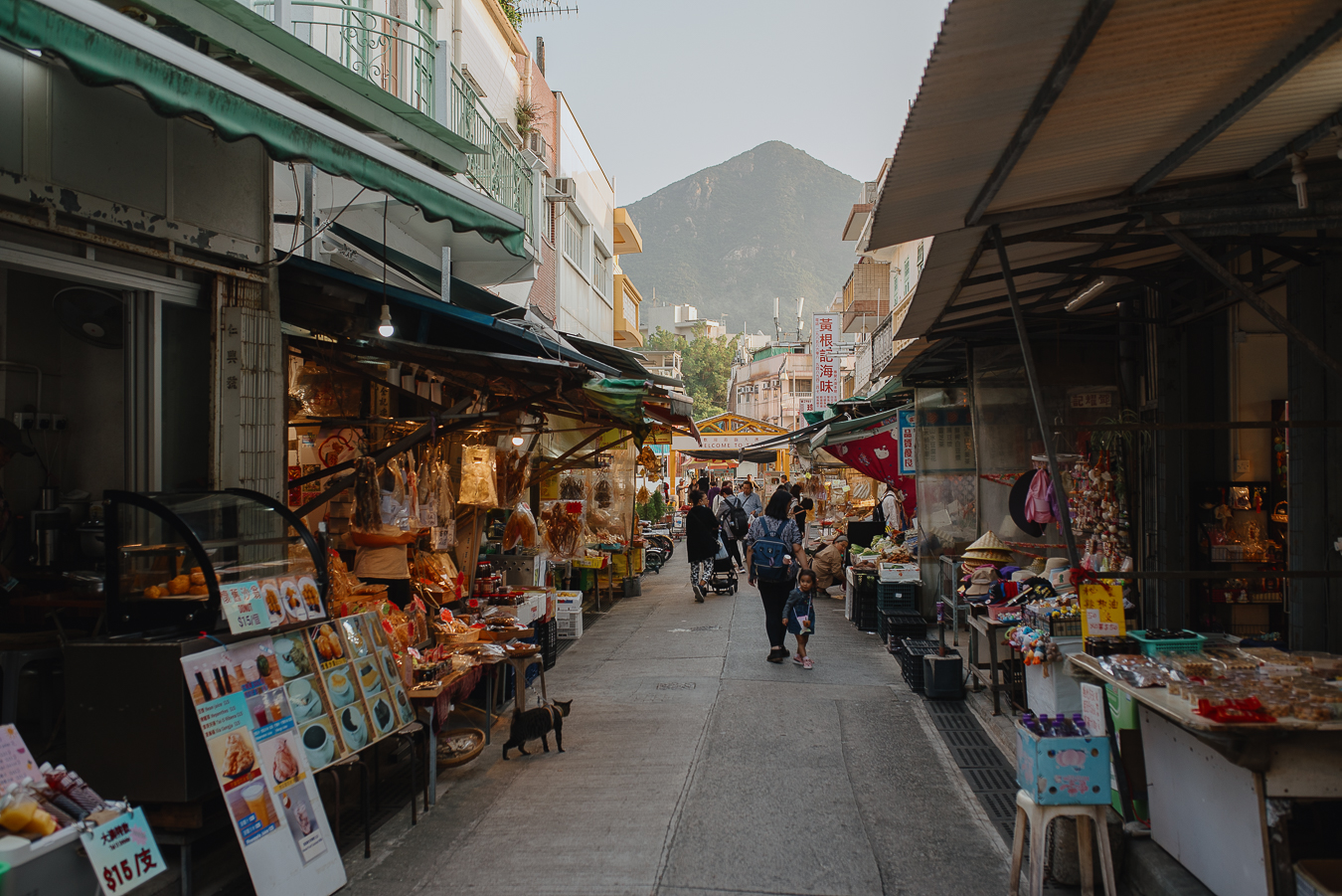 Cruise Layover Tour: Giant Buddha on Lantau Island in Private Service - Accommodations in Hong Kong