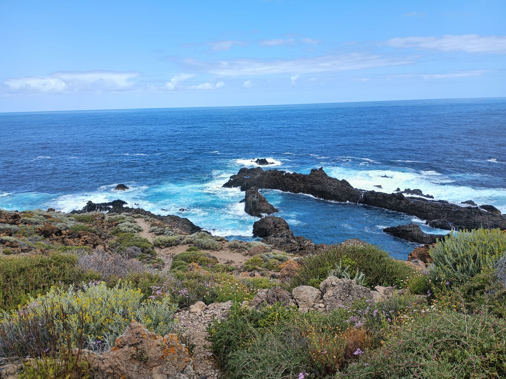 Excursion privada Paisajes y contrastes por la costa norte de Tenerife - Photo 7