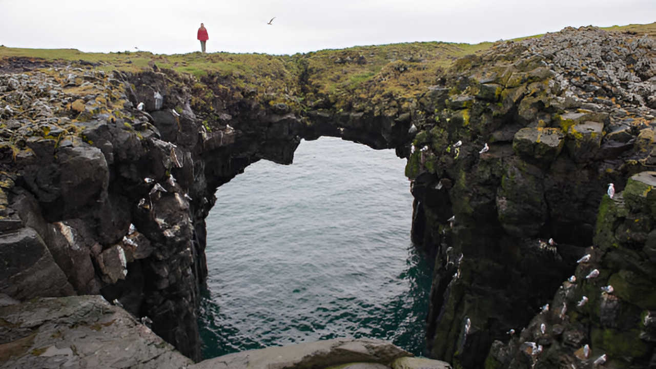 Excursión a Snaefellsnes en Grupo Reducido con Recogida - Alojamientos en Reikiavik