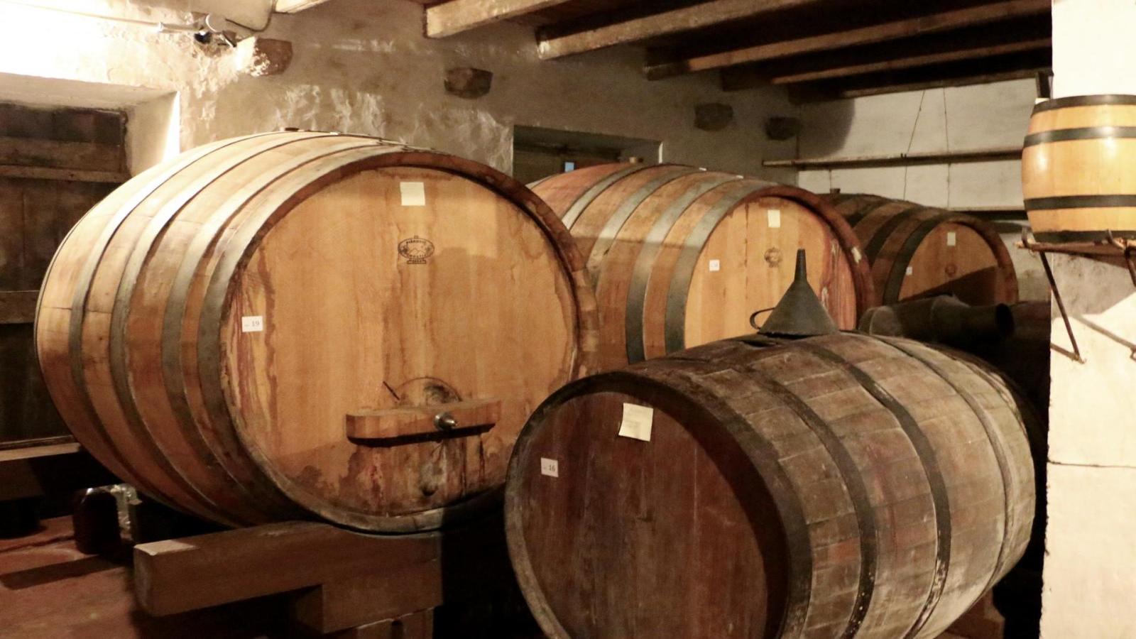 Wine tasting and visit to Ston - Photo 6