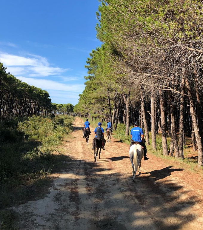 Horseback Riding Adventure in Durrës for Experienced Riders - Photo 6