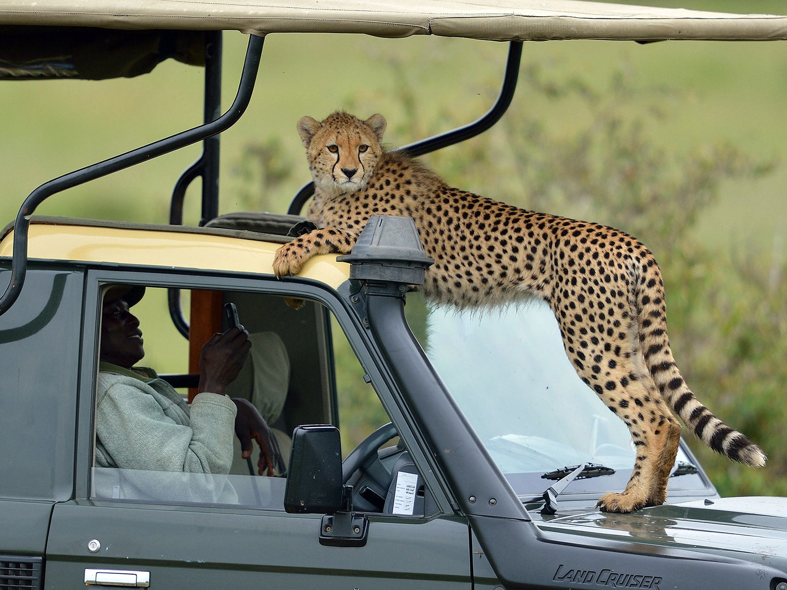Safari privado de 9 días: Kenia y Tanzania