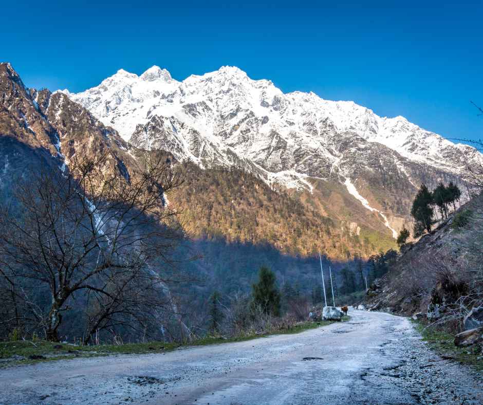 Day Trip to Singalila (Guided Private Sightseeing Experience from Darjeeling) - Photo 7